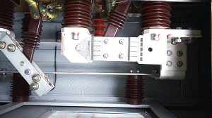 Ϻ6.gif